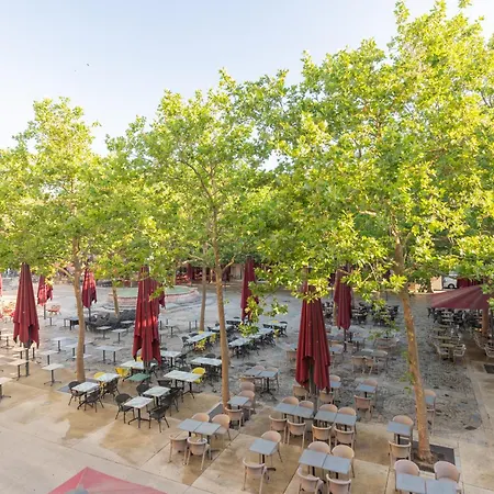 Le Carnot Large 2-room Beautiful View 4 People * Carcasona