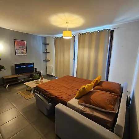 Le Carnot Large 2-room Beautiful View 4 People شقة *